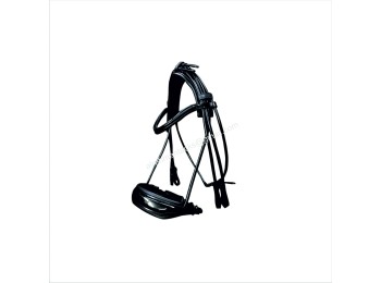 Leather Bridle